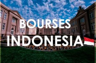 The Indonesian AID Scholarship (TIAS)